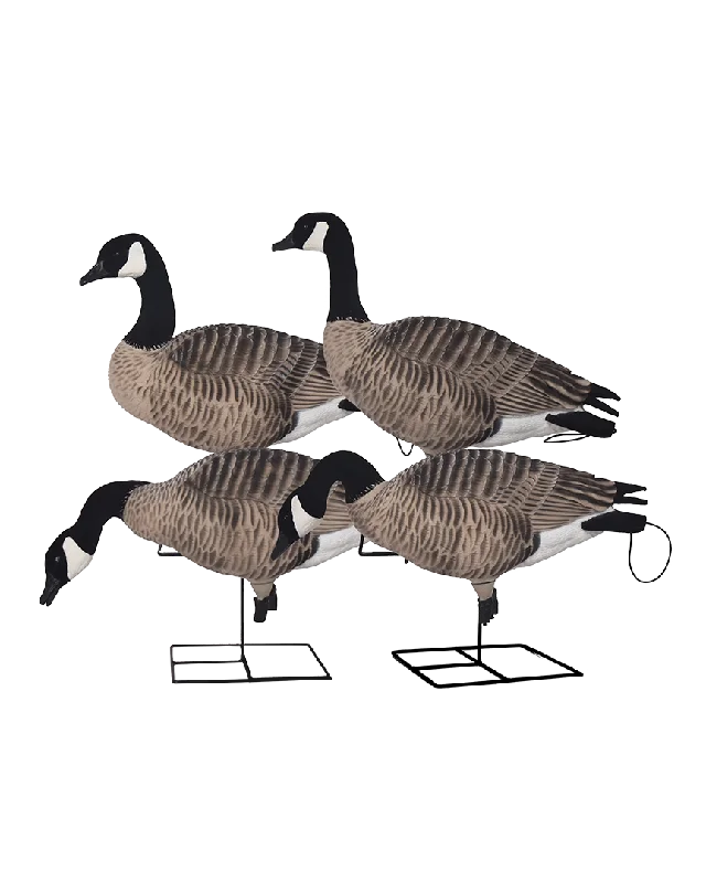 GHG XD FFD Full Body Canada Goose Decoys - Harvester Pack