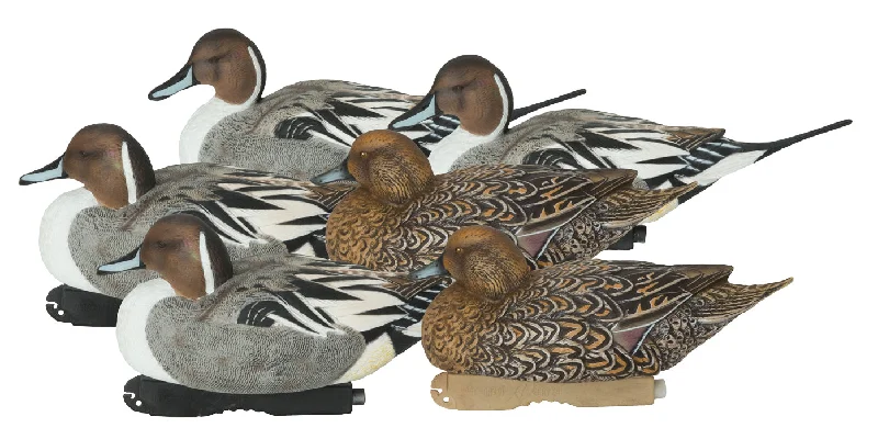 GHG Pro-Grade XD Series Pintail Decoys - Harvester Pack